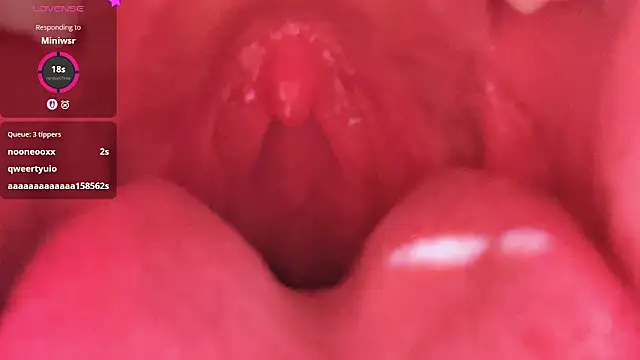 LT-333 online show from 26, 2, 2026