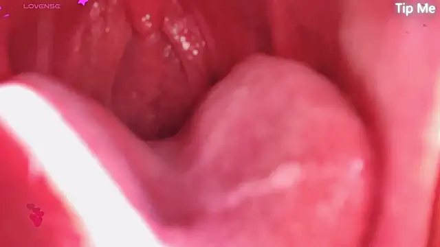 LT-333 online show from 22, 4, 2026