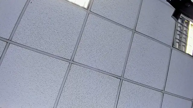 Alyssa Noah online show from 21, 4, 2026