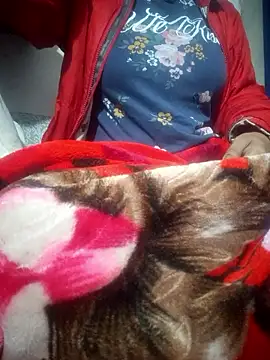 Snapshot of SassyDiy chatting on 13, 1, 2026 SassyDiy online show from 13, 1, 2026