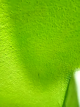 Snapshot of hectorpuga9 chatting on 9, 3, 2026 hectorpuga9 online show from 9, 3, 2026