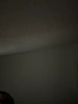 Snapshot of lige-8888 chatting on 29, 11, 2025 lige-8888 online show from 29, 11, 2025