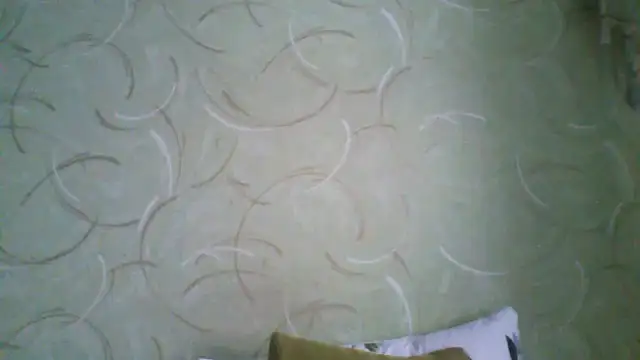 ClaireShannon online show from 3, 3, 2026