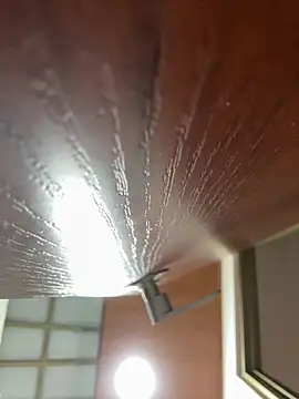 Dafne se online show from 18, 1, 2026