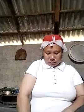 LeoPet2x online show from 12, 4, 2026