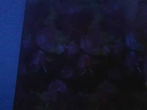 Maverik1313 online show from 7, 2, 2026