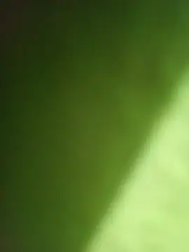 Hot Student00 online show from 16, 12, 2025