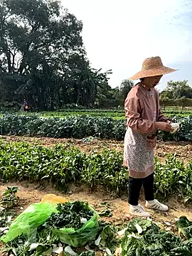 A-ZJunn online show from 12, 1, 2026