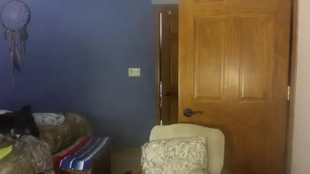 Snapshot of SpunRedneck chatting on 3, 12, 2025 SpunRedneck online show from 3, 12, 2025