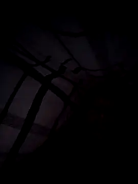 scotbhoyscott online show from 10, 3, 2026