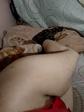 Almas-arabic online show from 20, 4, 2026