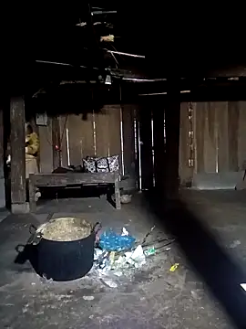 ava-dellght online show from 8, 2, 2026