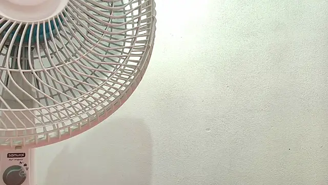 Elizabetth Roman online show from 22, 4, 2026