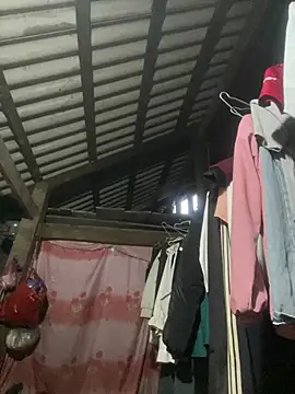 vero-obc online show from 28, 4, 2026