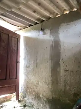 Samsam-006 online show from 17, 1, 2026