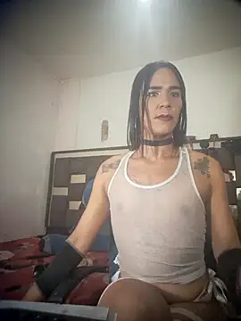 michaeldissts online show from 28, 7, 2026
