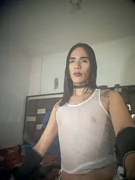 michaeldissts online show from 28, 7, 2026