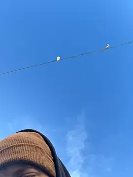 Big German cock974 online show from 21, 12, 2025