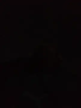 Andreskelly online show from 22, 4, 2026