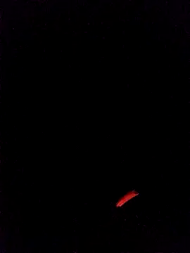 Snapshot of leobct555 chatting on 22, 3, 2026 leobct555 online show from 22, 3, 2026