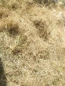 DanielGr27 online show from 20, 12, 2025