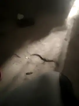 DanielGr27 online show from 5, 2, 2026