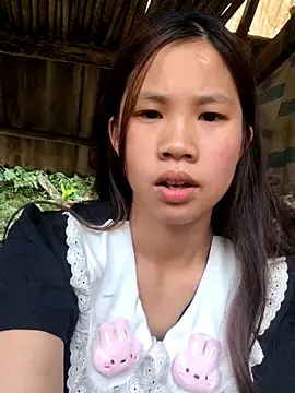 mit0-77 online show from 28, 4, 2026