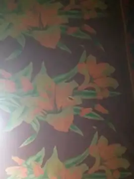 yana-zz online show from 12, 4, 2026