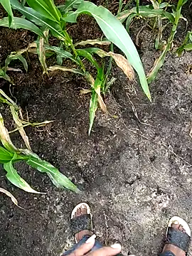 loki-king-143 online show from 24, 2, 2026