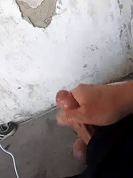 Mar81 online show from 21, 4, 2026