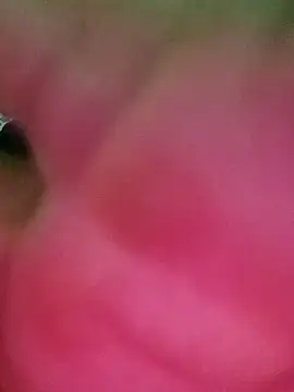 swartilodhi123 online show from 9, 2, 2026