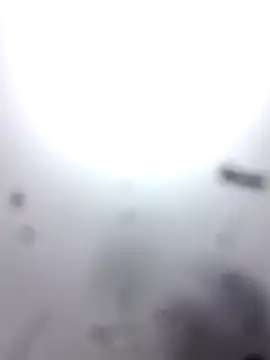 Snapshot of M8ygcthf3 chatting on 8, 3, 2026 M8ygcthf3 online show from 8, 3, 2026