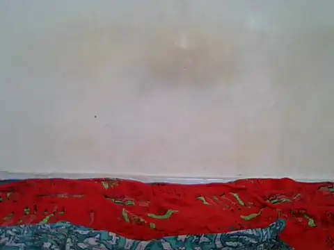 BaddestBitchee online show from 27, 4, 2026