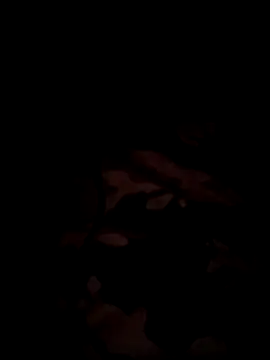 bnglrboy0886 online show from 17, 12, 2025