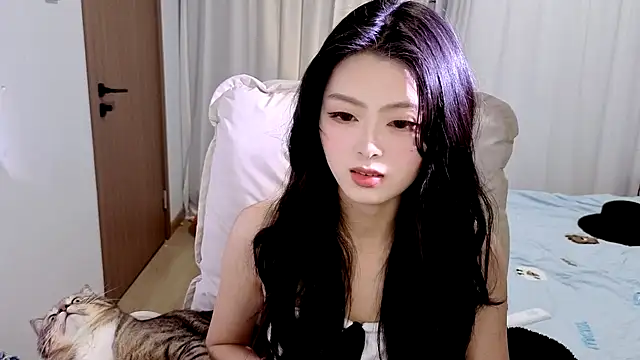 Koikoi    online show from 1, 2, 2026