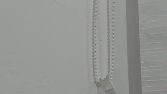 ariloe quintero online show from 20, 4, 2026