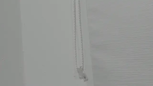 ariloe quintero online show from 24, 4, 2026