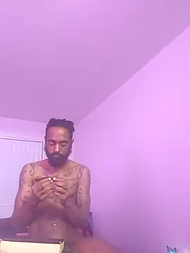 AverageAnt  online show from 3, 3, 2026