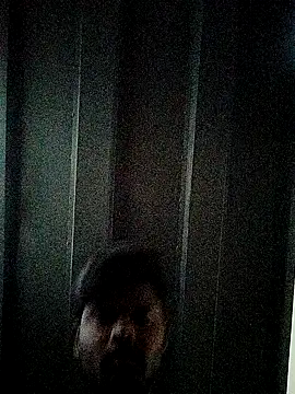 Anji8639 online show from 19, 2, 2026