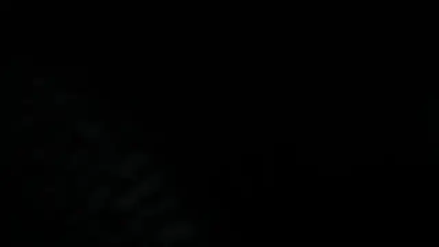 Dante Bellini online show from 3, 6, 2026