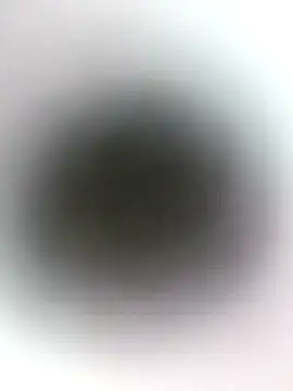 novio-de-la-tarde online show from 24, 4, 2026