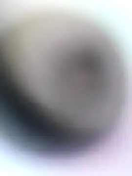 novio-de-la-tarde online show from 28, 4, 2026