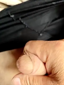 luis8558 online show from 24, 3, 2026