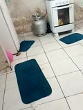 xxxxbucetuda  online show from 19, 12, 2025