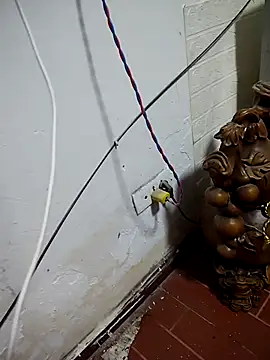 Snapshot of thobaby99 chatting on 9, 1, 2026 thobaby99 online show from 9, 1, 2026