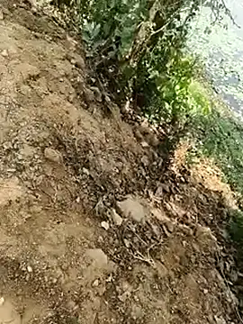 Sheela Sex90 online show from 17, 4, 2026