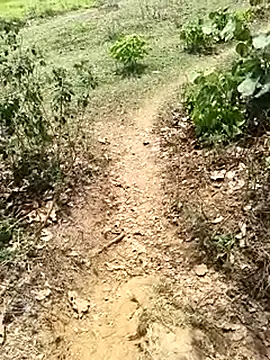 Sheela Sex90 online show from 19, 4, 2026