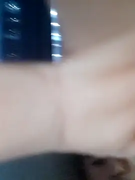 Rokan8181 online show from 10, 3, 2026