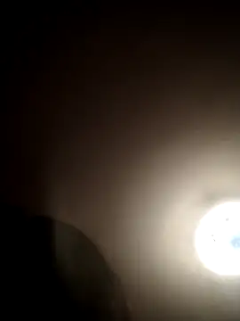 vanNe78 online show from 11, 3, 2026