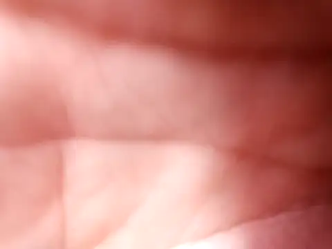 mellzinhacasada online show from 16, 2, 2026